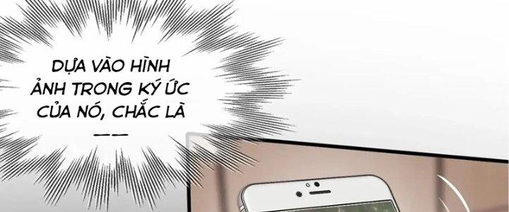 Trải Nghiệm Trở Thành Huyết Tộc Chapter 13 - Trang 2