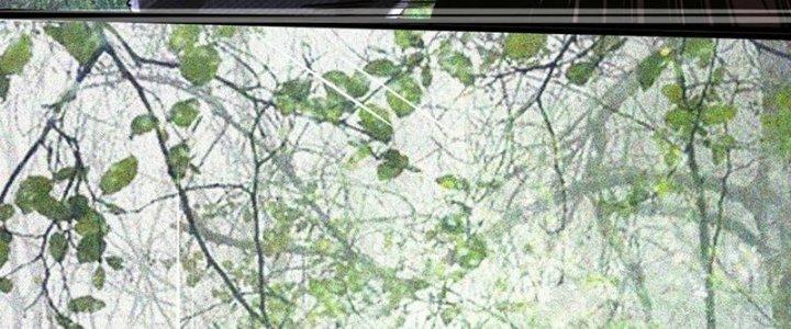 Trải Nghiệm Trở Thành Huyết Tộc Chapter 13 - Trang 2