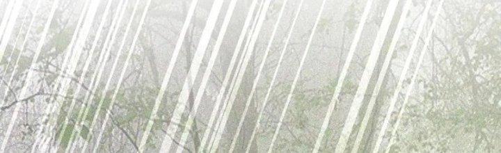 Trải Nghiệm Trở Thành Huyết Tộc Chapter 13 - Trang 2