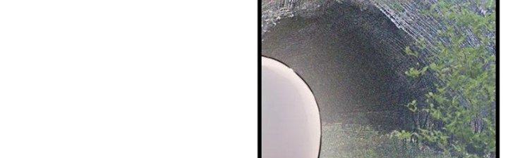 Trải Nghiệm Trở Thành Huyết Tộc Chapter 14 - Trang 2