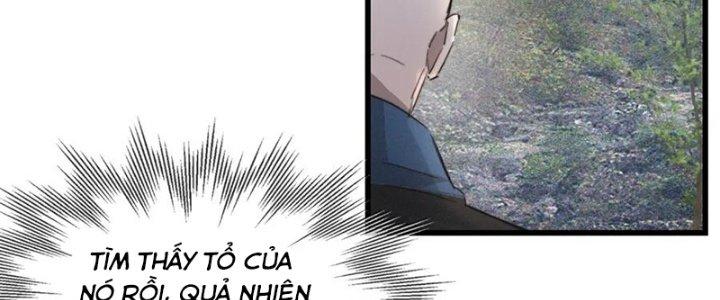 Trải Nghiệm Trở Thành Huyết Tộc Chapter 14 - Trang 2