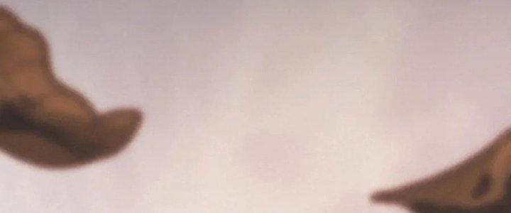 Trải Nghiệm Trở Thành Huyết Tộc Chapter 14 - Trang 2