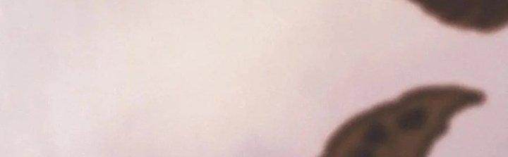 Trải Nghiệm Trở Thành Huyết Tộc Chapter 14 - Trang 2