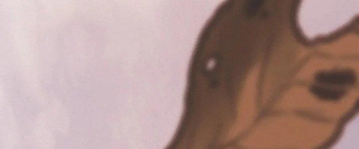 Trải Nghiệm Trở Thành Huyết Tộc Chapter 14 - Trang 2