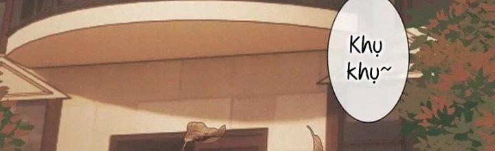 Trải Nghiệm Trở Thành Huyết Tộc Chapter 14 - Trang 2