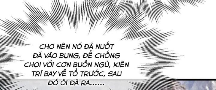 Trải Nghiệm Trở Thành Huyết Tộc Chapter 14 - Trang 2