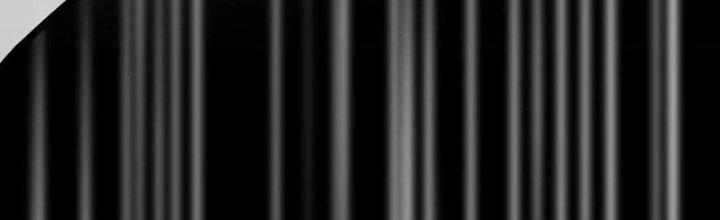 Trải Nghiệm Trở Thành Huyết Tộc Chapter 16 - Trang 3