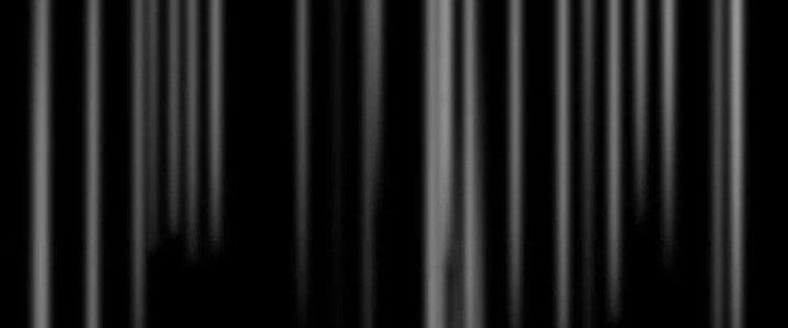 Trải Nghiệm Trở Thành Huyết Tộc Chapter 16 - Trang 3