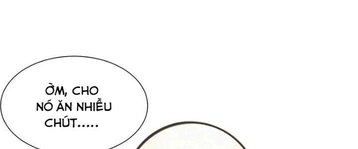 Trải Nghiệm Trở Thành Huyết Tộc Chapter 20 - Trang 3