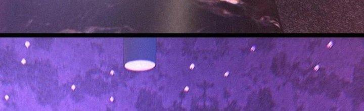 Trải Nghiệm Trở Thành Huyết Tộc Chapter 25 - Trang 3