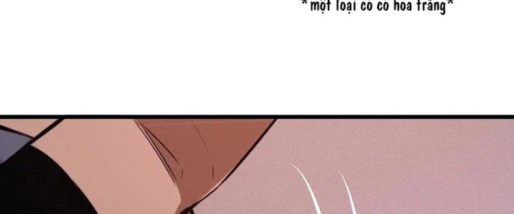 Trải Nghiệm Trở Thành Huyết Tộc Chapter 26 - Trang 3