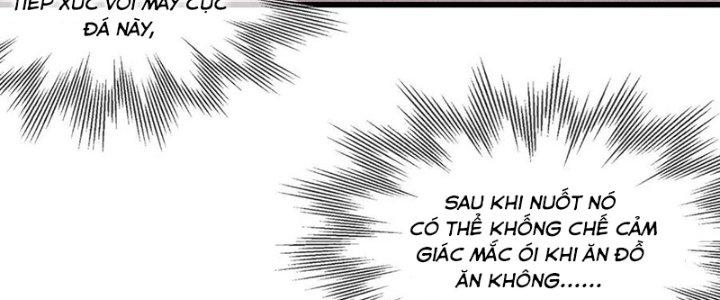 Trải Nghiệm Trở Thành Huyết Tộc Chapter 27 - Trang 3