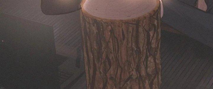 Trải Nghiệm Trở Thành Huyết Tộc Chapter 28 - Trang 3