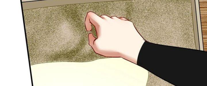 Thành Tựu Của Ta Rất Nhiều Chapter 84 - Trang 3