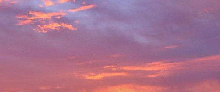 Thành Tựu Của Ta Rất Nhiều Chapter 92 - Trang 3