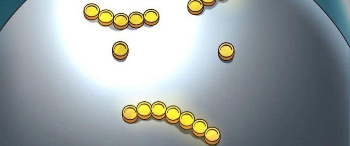 Lê Minh Chi Kiếm Chapter 65 - Next Chapter 66