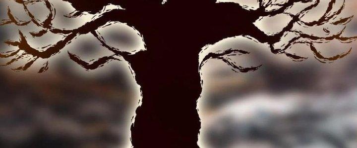 Lê Minh Chi Kiếm Chapter 68 - Trang 3