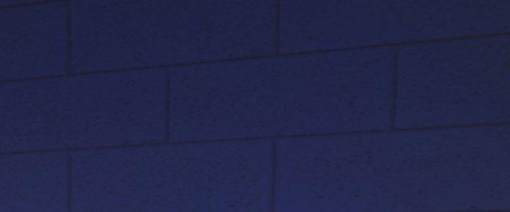 Chí Tôn Cuồng Tế Chapter 11 - Next Chapter 12