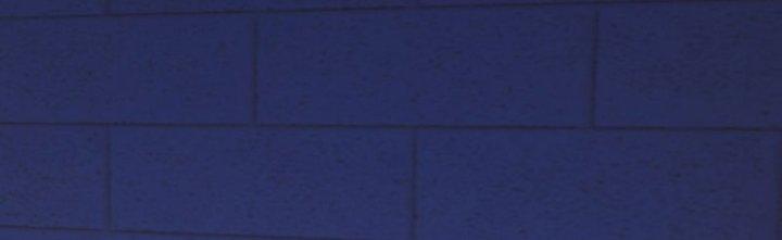 Chí Tôn Cuồng Tế Chapter 11 - Next Chapter 12