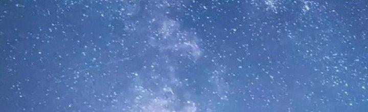 Thành Tựu Của Ta Rất Nhiều Chapter 117 - Trang 3