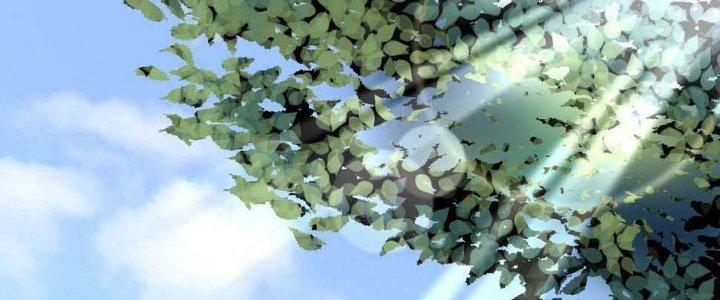 Thành Tựu Của Ta Rất Nhiều Chapter 119 - Trang 3