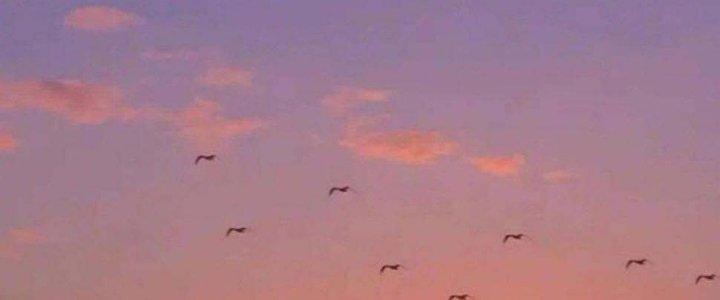 Thành Tựu Của Ta Rất Nhiều Chapter 119 - Trang 3