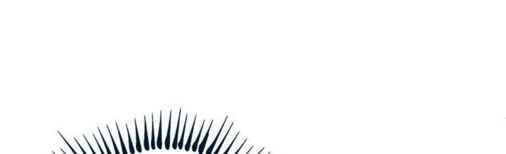 Thành Tựu Của Ta Rất Nhiều Chapter 136 - Trang 3