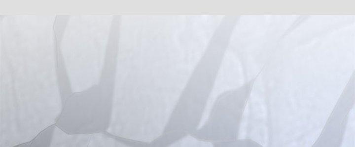 Ta Sống Cùng Nữ Tiếp Viên Hàng Không Tại Hoang Đảo Chapter 10 - Trang 2