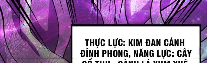 Nguyên Lai Ta Là Chí Tôn Tiên Giới Chapter 13 - Trang 3