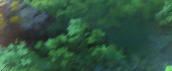 Bỉ Nhân Độc Tìm Đường Chết Chapter 19 - Trang 2