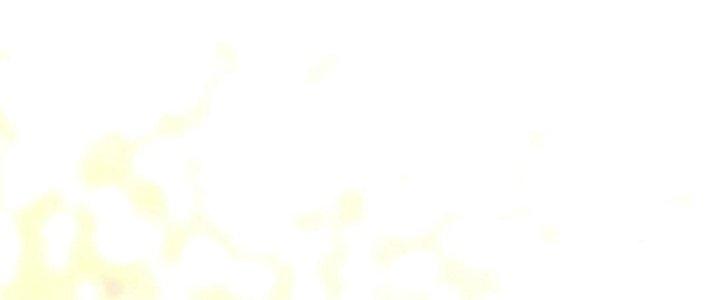 Thành Tựu Của Ta Rất Nhiều Chapter 145 - Trang 3