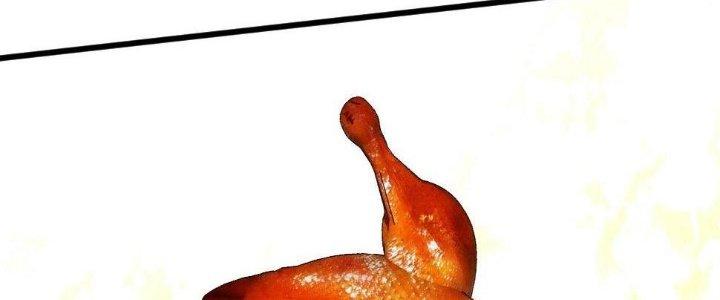 Thành Tựu Của Ta Rất Nhiều Chapter 154 - Trang 3