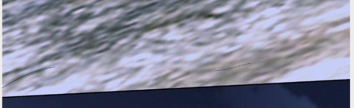 Ta Sống Cùng Nữ Tiếp Viên Hàng Không Tại Hoang Đảo Chapter 13 - Trang 2