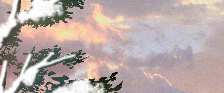 Thành Tựu Của Ta Rất Nhiều Chapter 158 - Trang 3