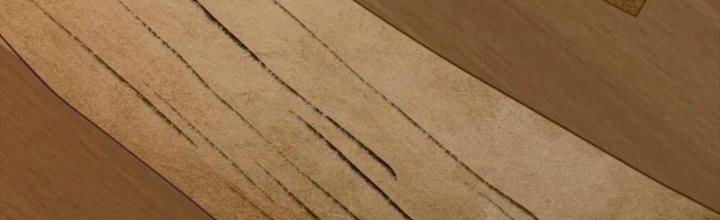 Ta Sống Cùng Nữ Tiếp Viên Hàng Không Tại Hoang Đảo Chapter 21 - Trang 2