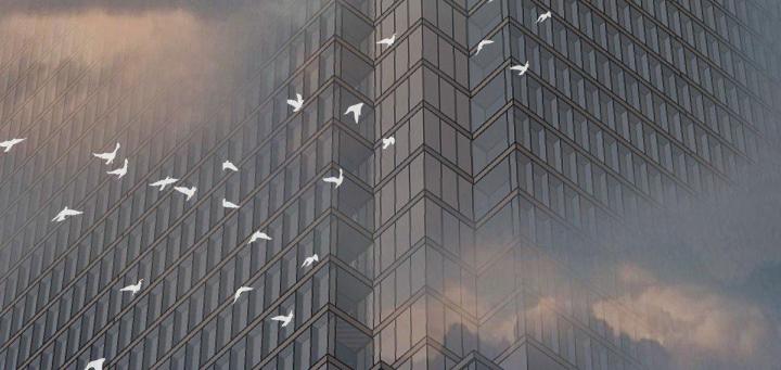 Hệ Thống Thôn Phệ Bá Đạo Chapter 4 - Next Chapter 5