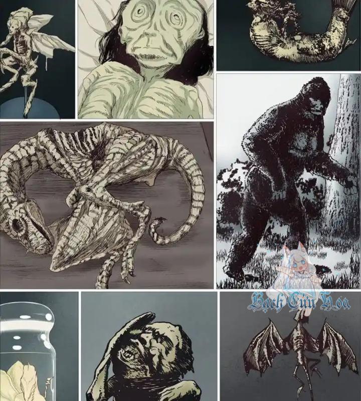 Kẻ Thách Thức Hay Nhà Không Tưởng Chapter 2 - Trang 2