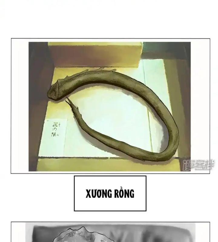 Kẻ Thách Thức Hay Nhà Không Tưởng Chapter 2 - Trang 2