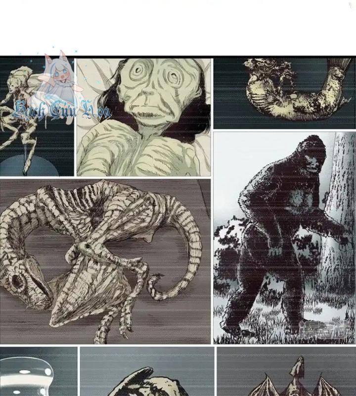 Kẻ Thách Thức Hay Nhà Không Tưởng Chapter 2 - Trang 2