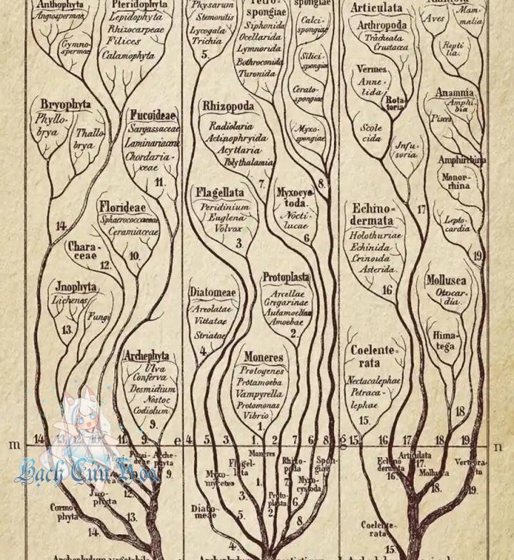 Kẻ Thách Thức Hay Nhà Không Tưởng Chapter 2 - Trang 2