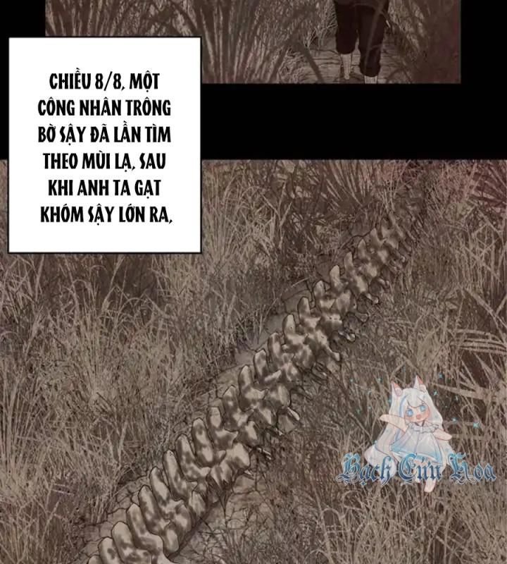 Kẻ Thách Thức Hay Nhà Không Tưởng Chapter 3 - Trang 2