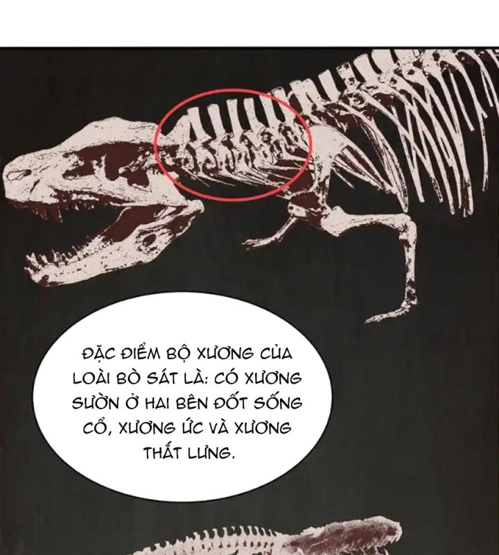 Kẻ Thách Thức Hay Nhà Không Tưởng Chapter 3 - Trang 2