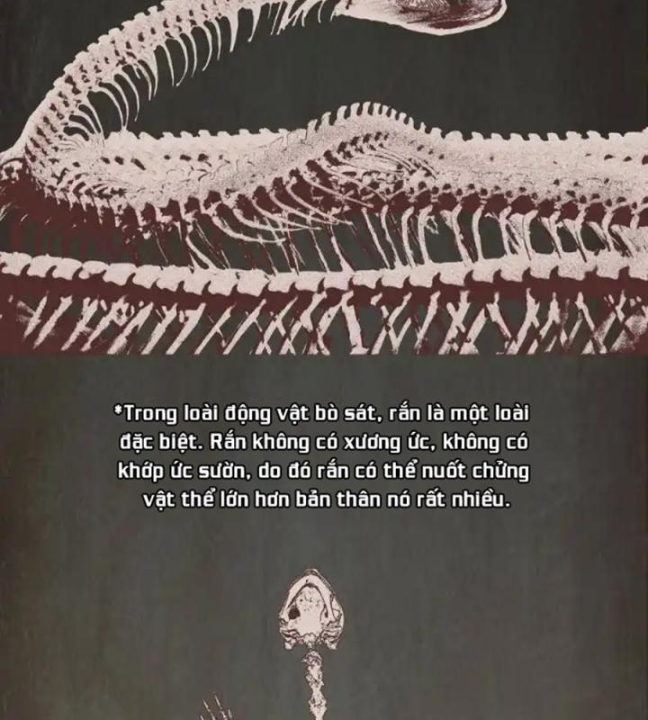 Kẻ Thách Thức Hay Nhà Không Tưởng Chapter 3 - Trang 2