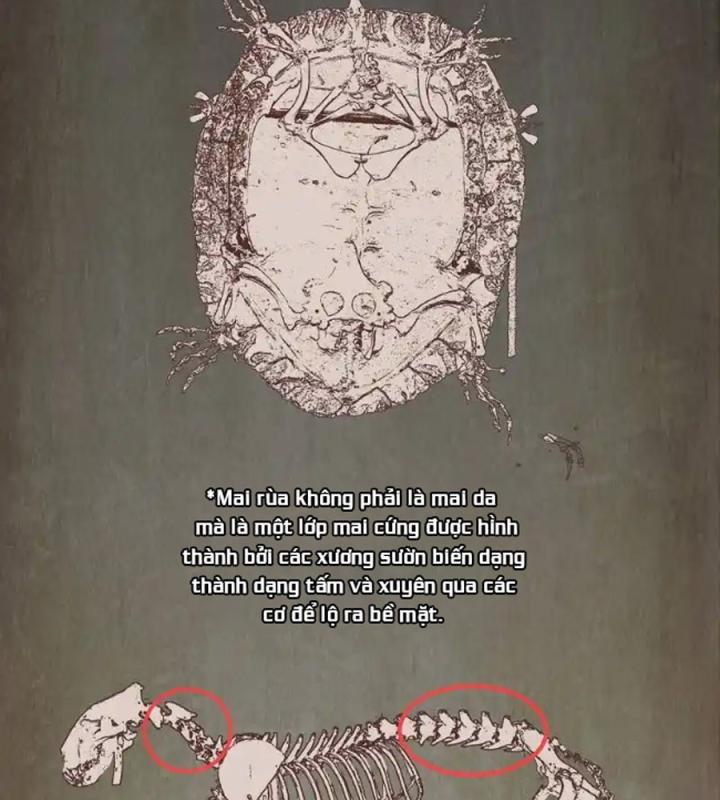 Kẻ Thách Thức Hay Nhà Không Tưởng Chapter 3 - Trang 2