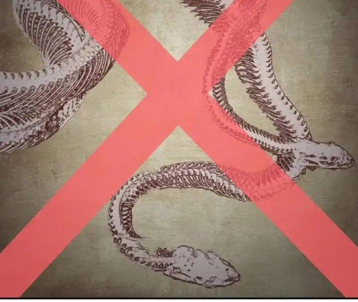 Kẻ Thách Thức Hay Nhà Không Tưởng Chapter 3 - Trang 2