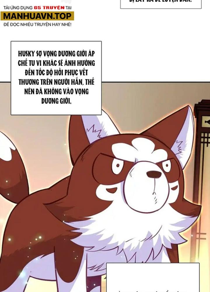 Lão Đại Xuyên Không Thành Tiên Nữ Chapter 263 - Trang 3