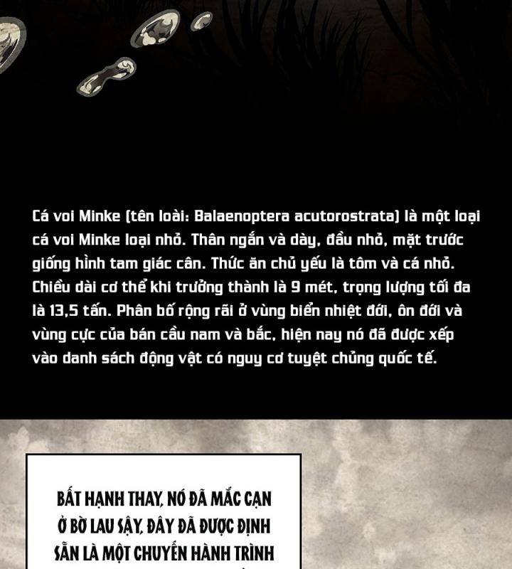 Kẻ Thách Thức Hay Nhà Không Tưởng Chapter 4 - Trang 2