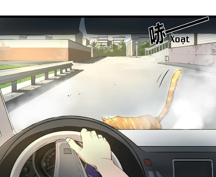 Tiêng Gọi Từ Muôn Loài Chapter 2 - Trang 2