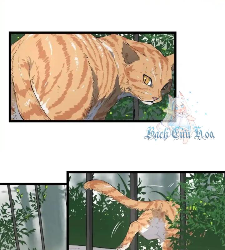 Tiêng Gọi Từ Muôn Loài Chapter 3 - Trang 2