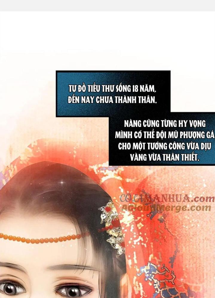 Phụng Chỉ Xuất Chinh Chapter 13 - Trang 2